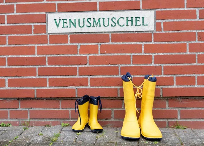 Venusmuschel By Interhome بيت للعطل نورديش